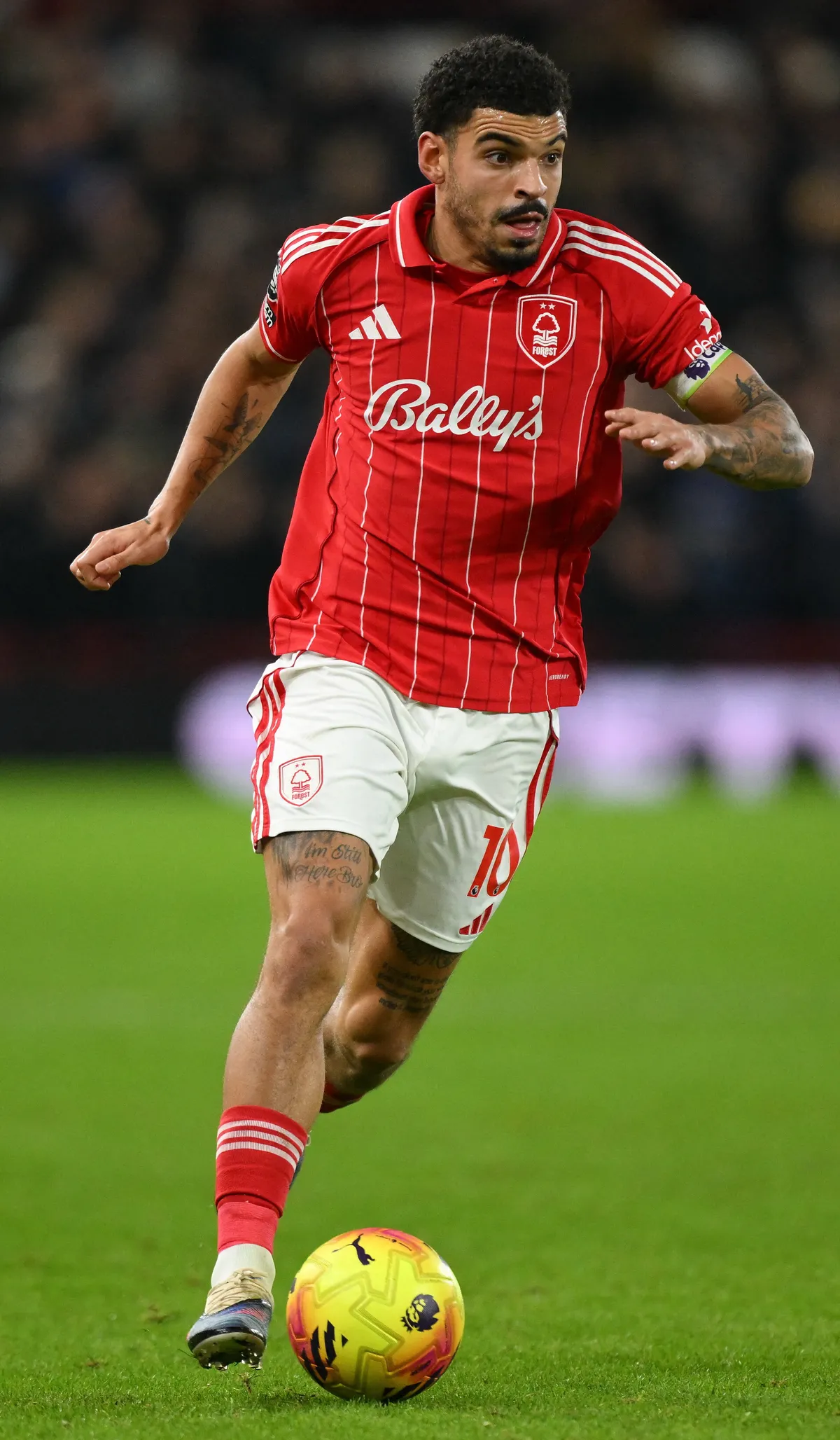 Nottingham Forest v Everton - Premier League