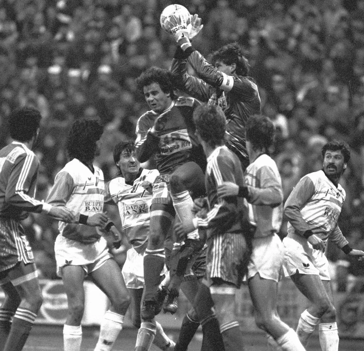 Fischer Pál; Brockhauser István