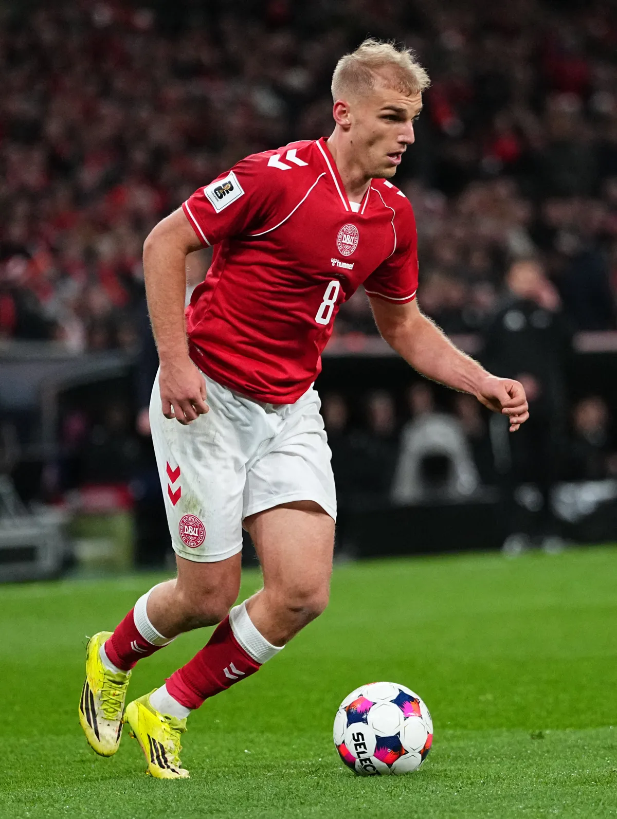 Denmark vs North Macedonia - World Cup Qualification