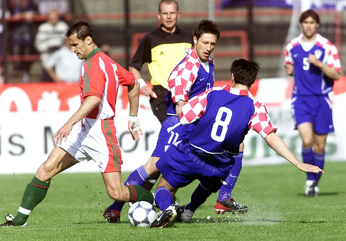 Bódog, Niko, Lékõ, Sabics