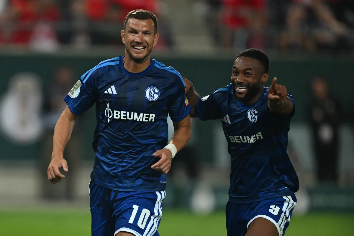 Hallescher FC vs. FC Schalke 04