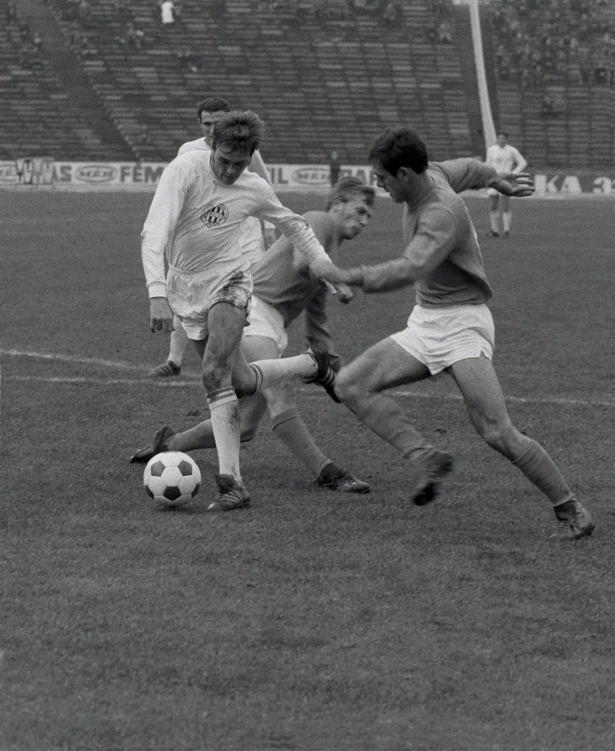 Mucha József